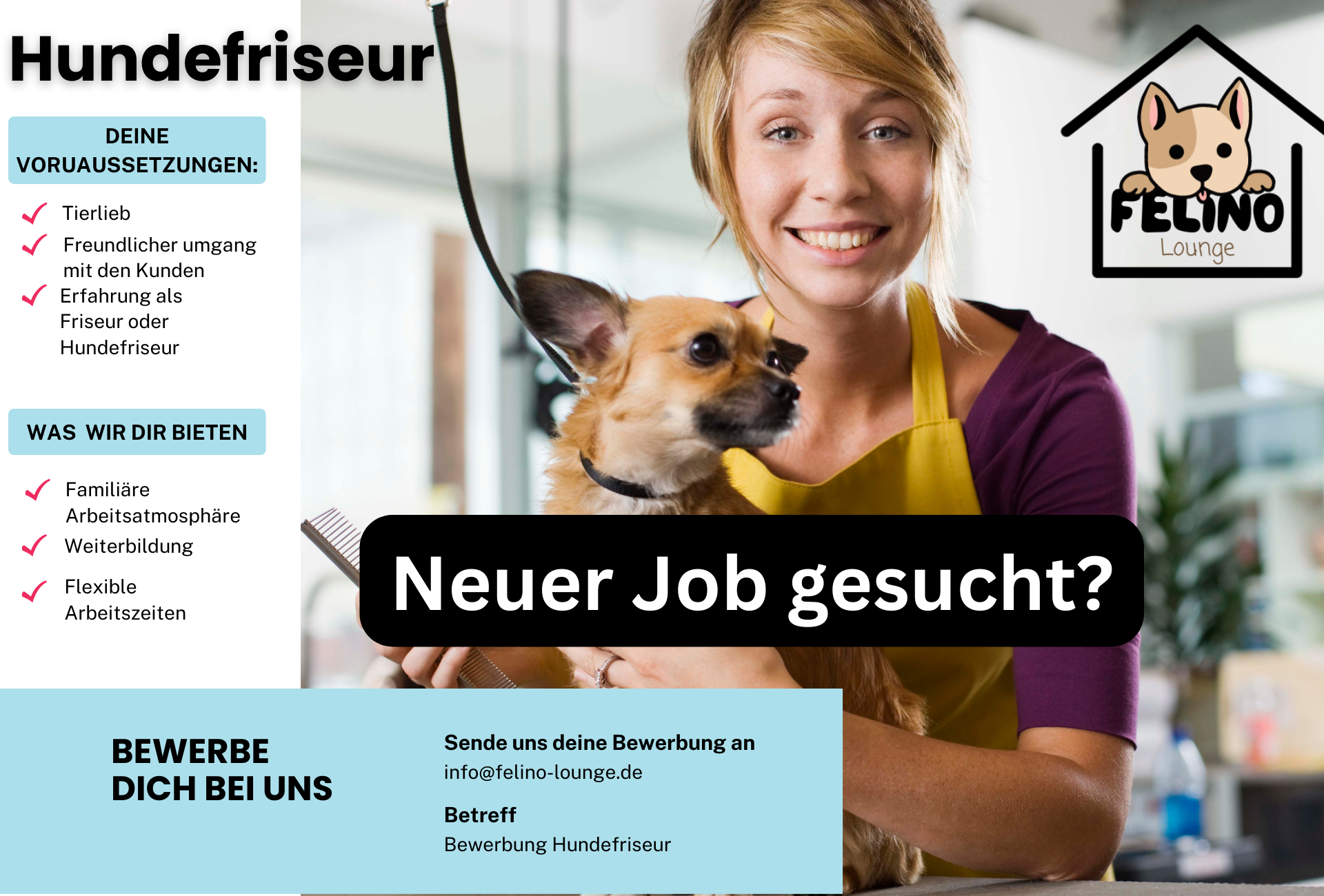 Hundefriseur Stellenanzeige in Köln